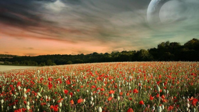 前端开发现在主流的技术有哪些？